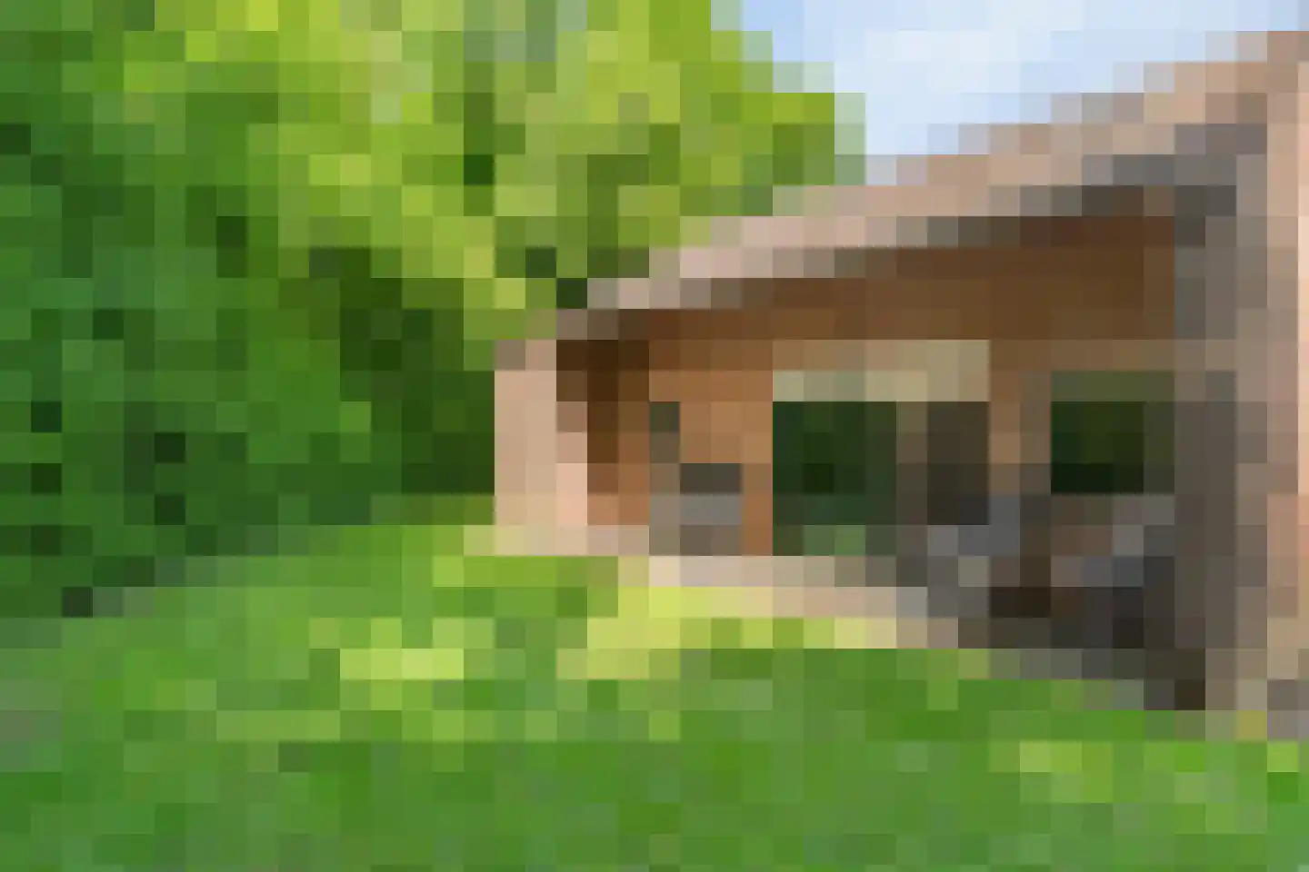 Oude Akerweg 40 a010 Vijlen thumbnail 4
