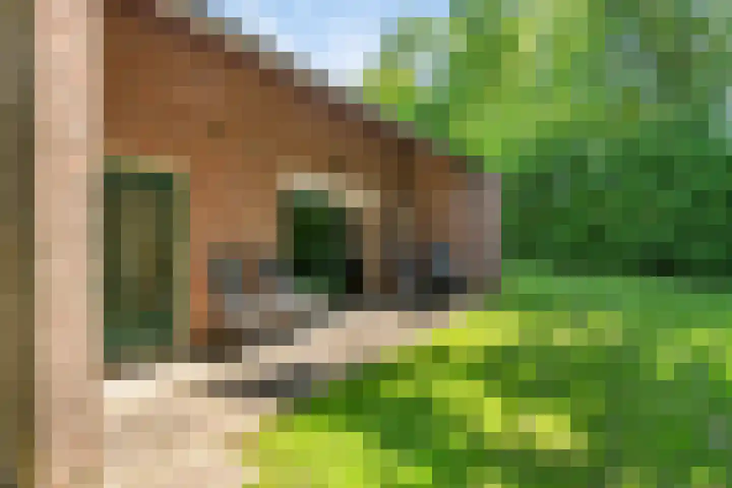 Oude Akerweg 40 a010 Vijlen thumbnail 5