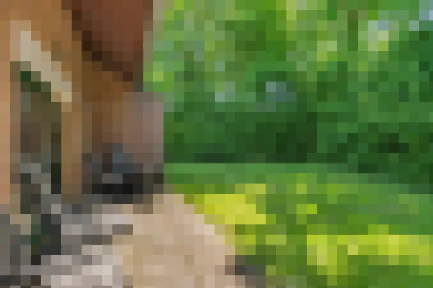 Oude Akerweg 40 a010 Vijlen thumbnail 6
