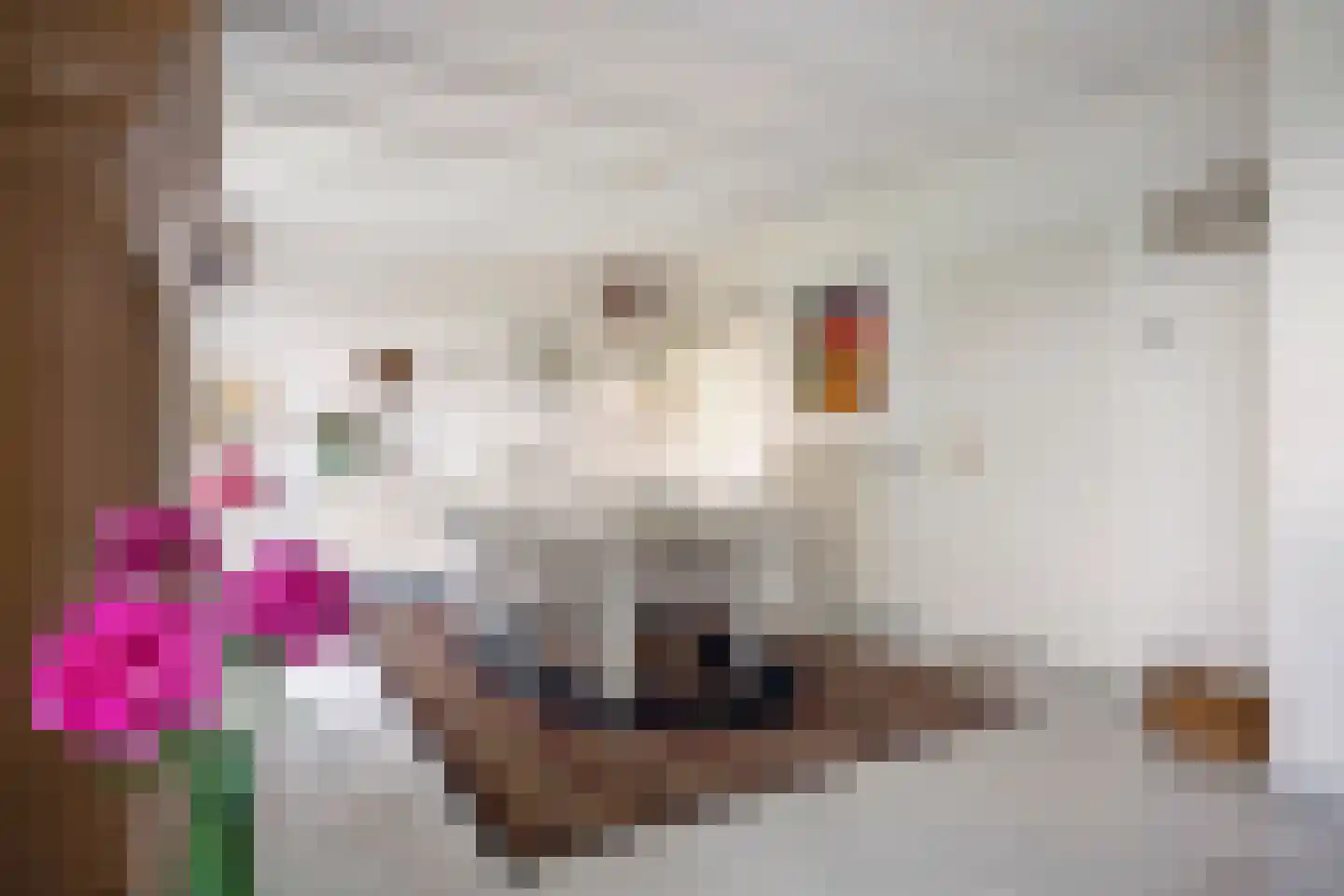 Oude Akerweg 42 Gulpen thumbnail 10