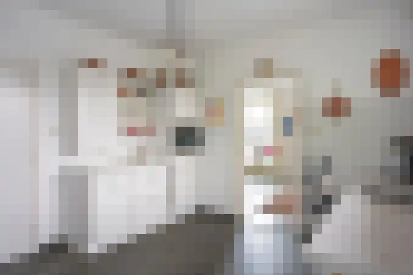 Oude Akerweg 42 Gulpen thumbnail 16