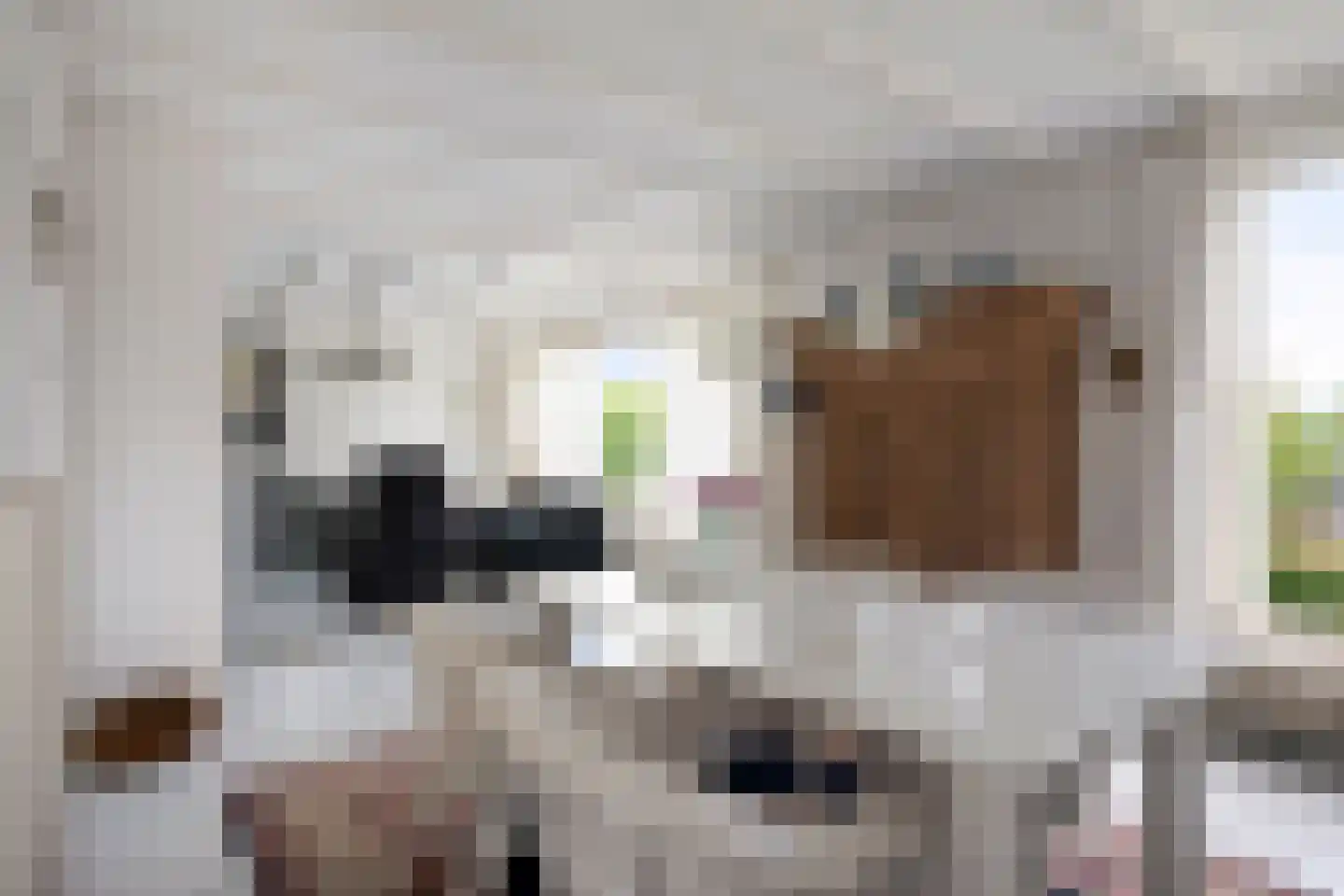 Oude Akerweg 42 Gulpen thumbnail 9
