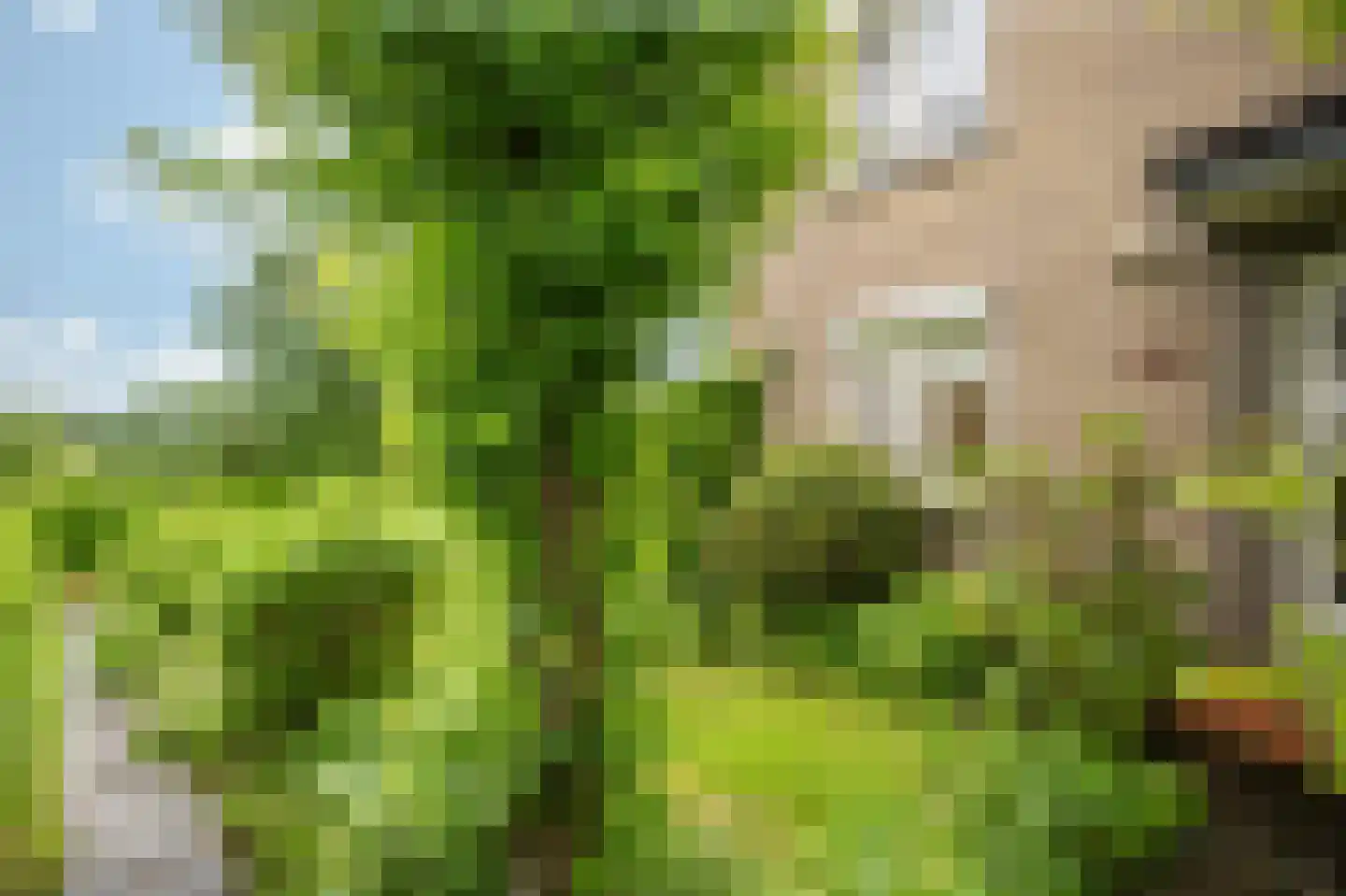 Oude Akerweg 52 Gulpen thumbnail 4