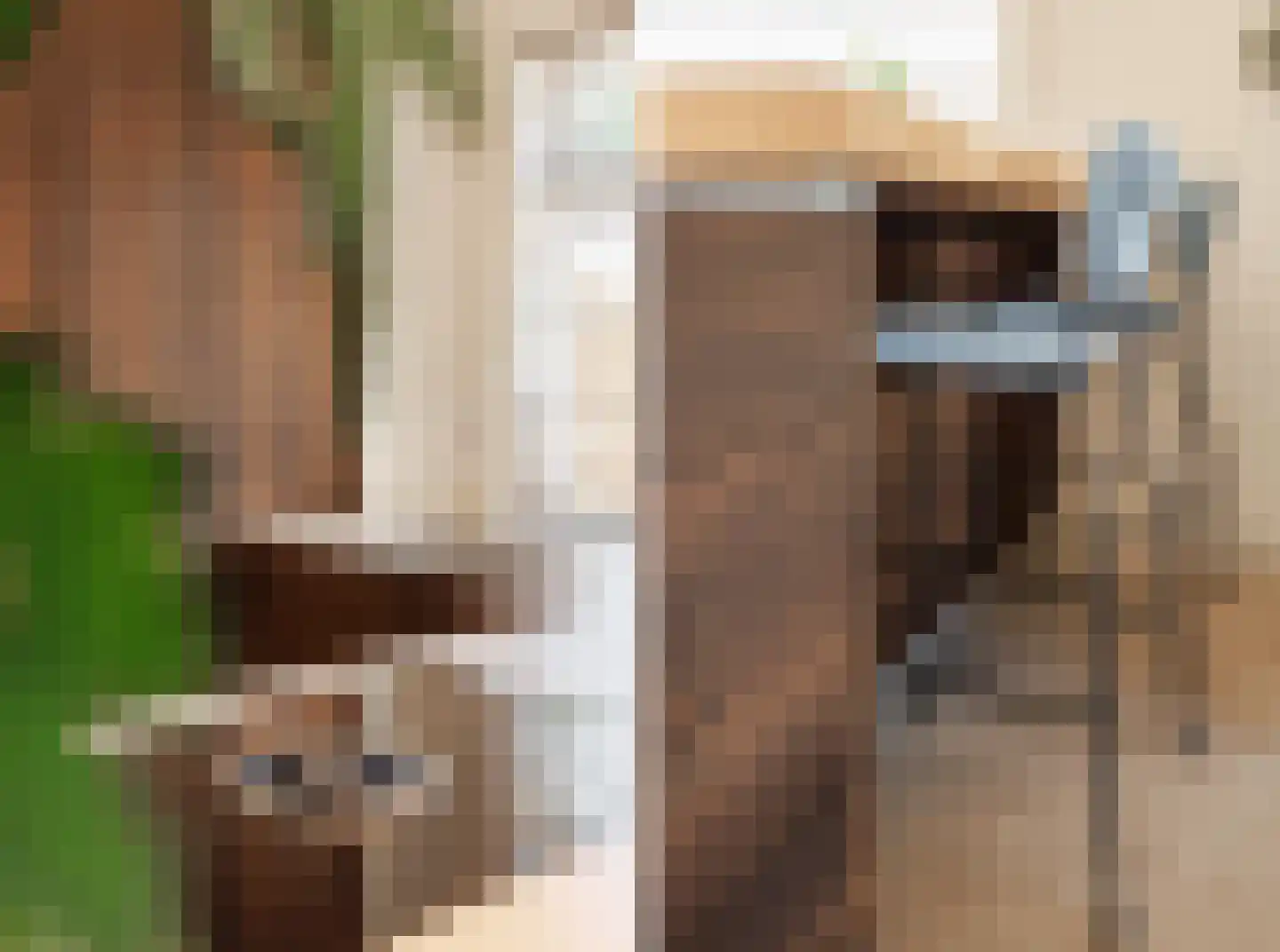Oude Almeloseweg 12 Wierden thumbnail 13