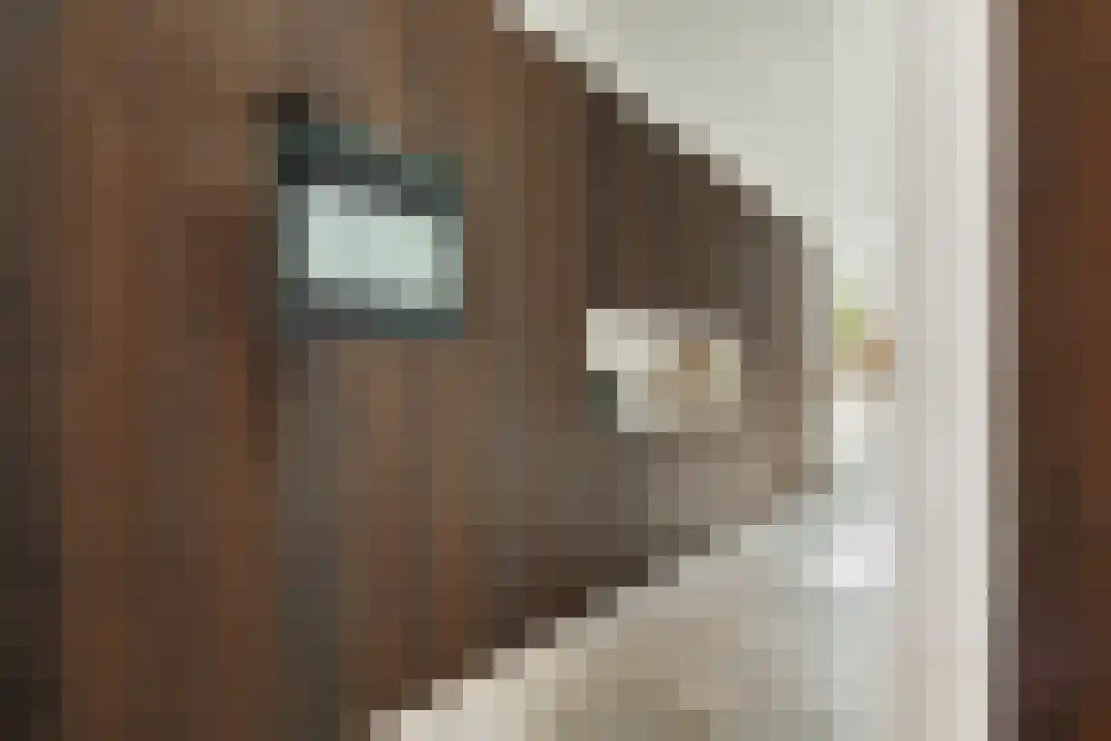 Oude Almeloseweg 12 Wierden thumbnail 15