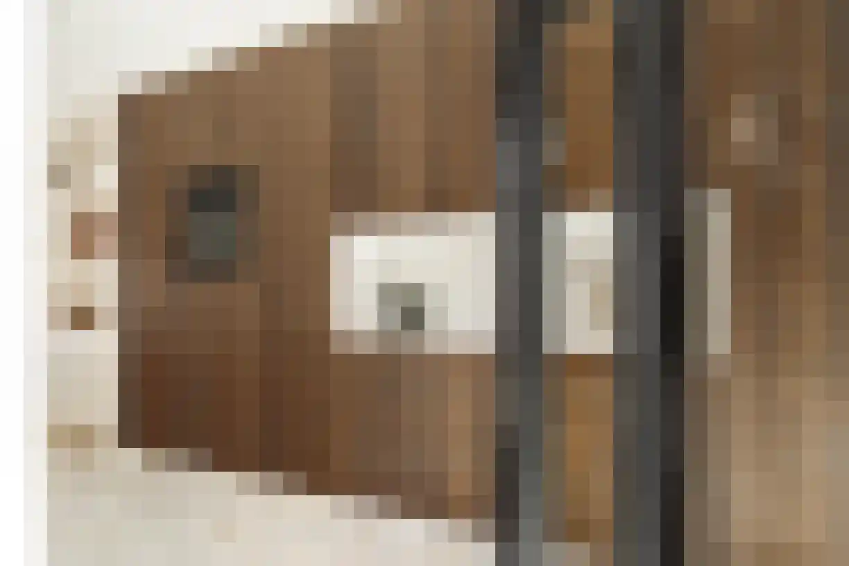 Oude Almeloseweg 12 Wierden thumbnail 16