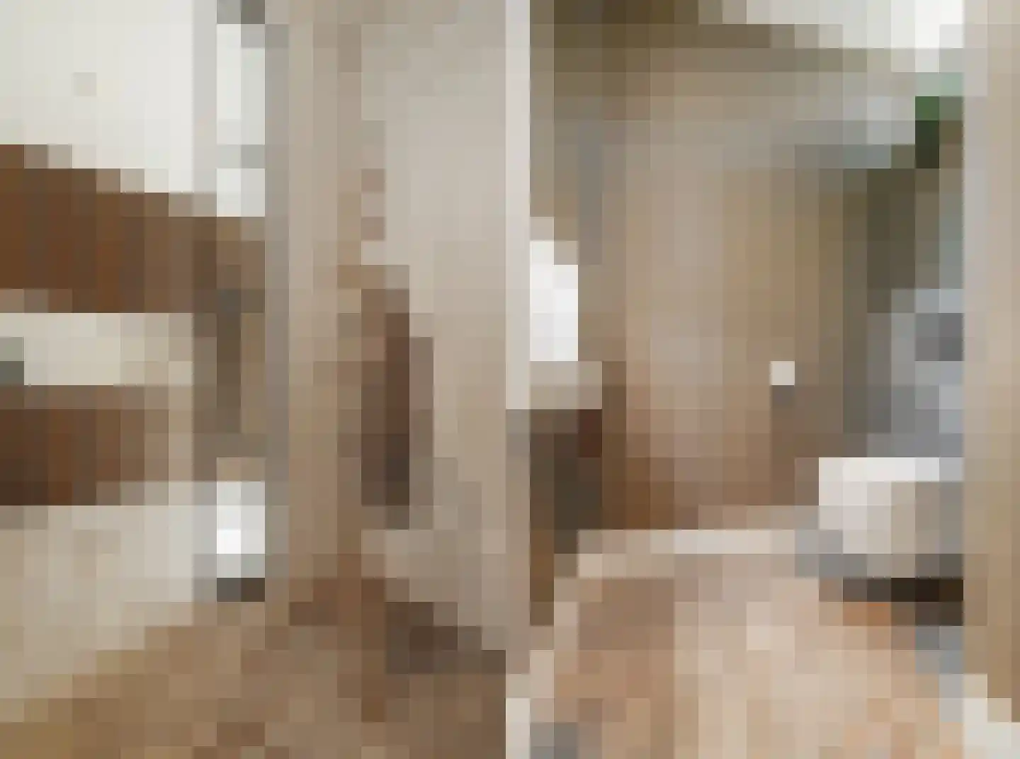 Oude Almeloseweg 12 Wierden thumbnail 17