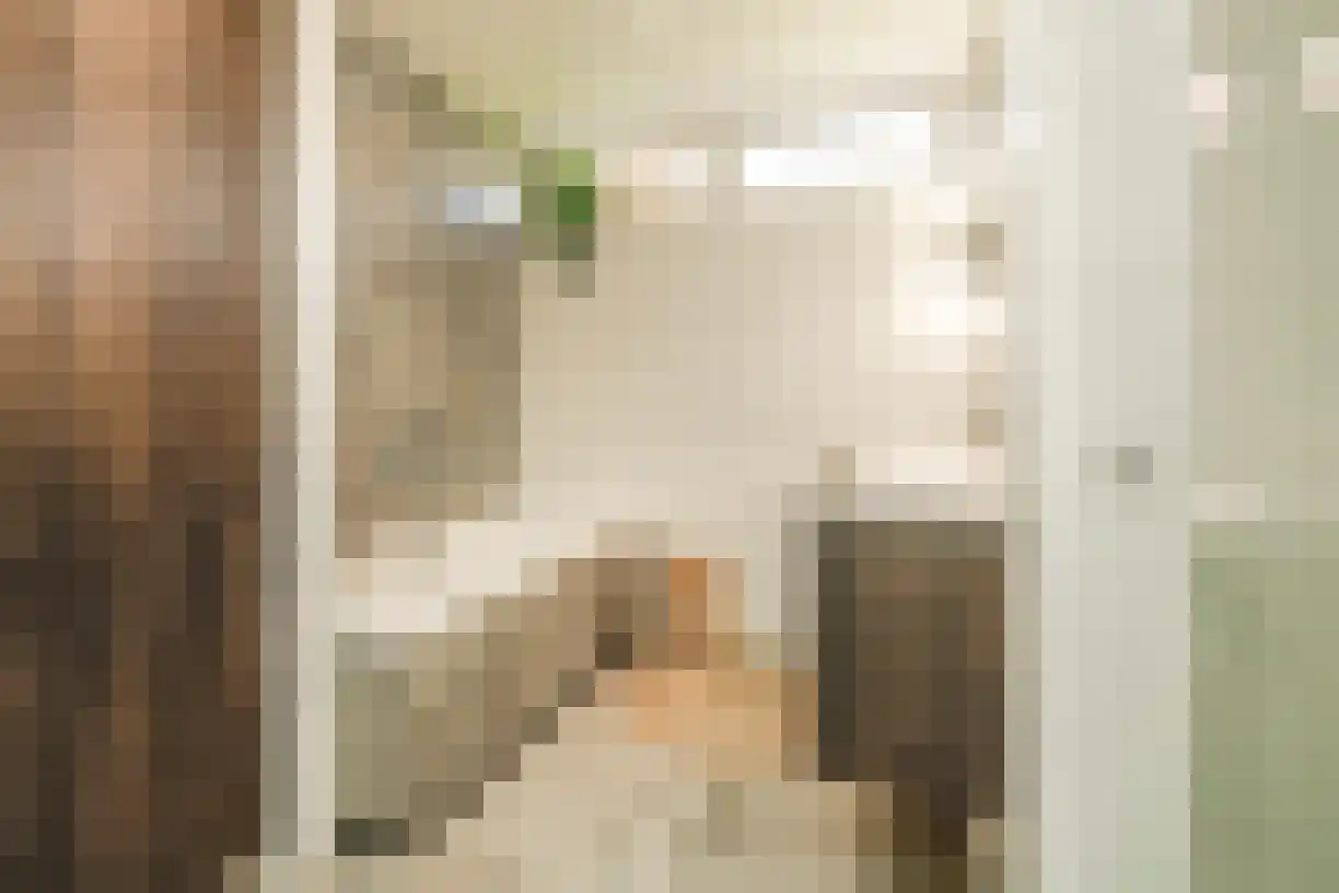 Oude Almeloseweg 12 Wierden thumbnail 19