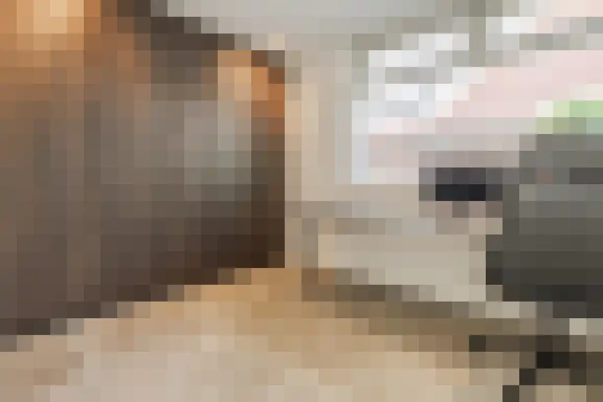 Oude Almeloseweg 12 Wierden thumbnail 23