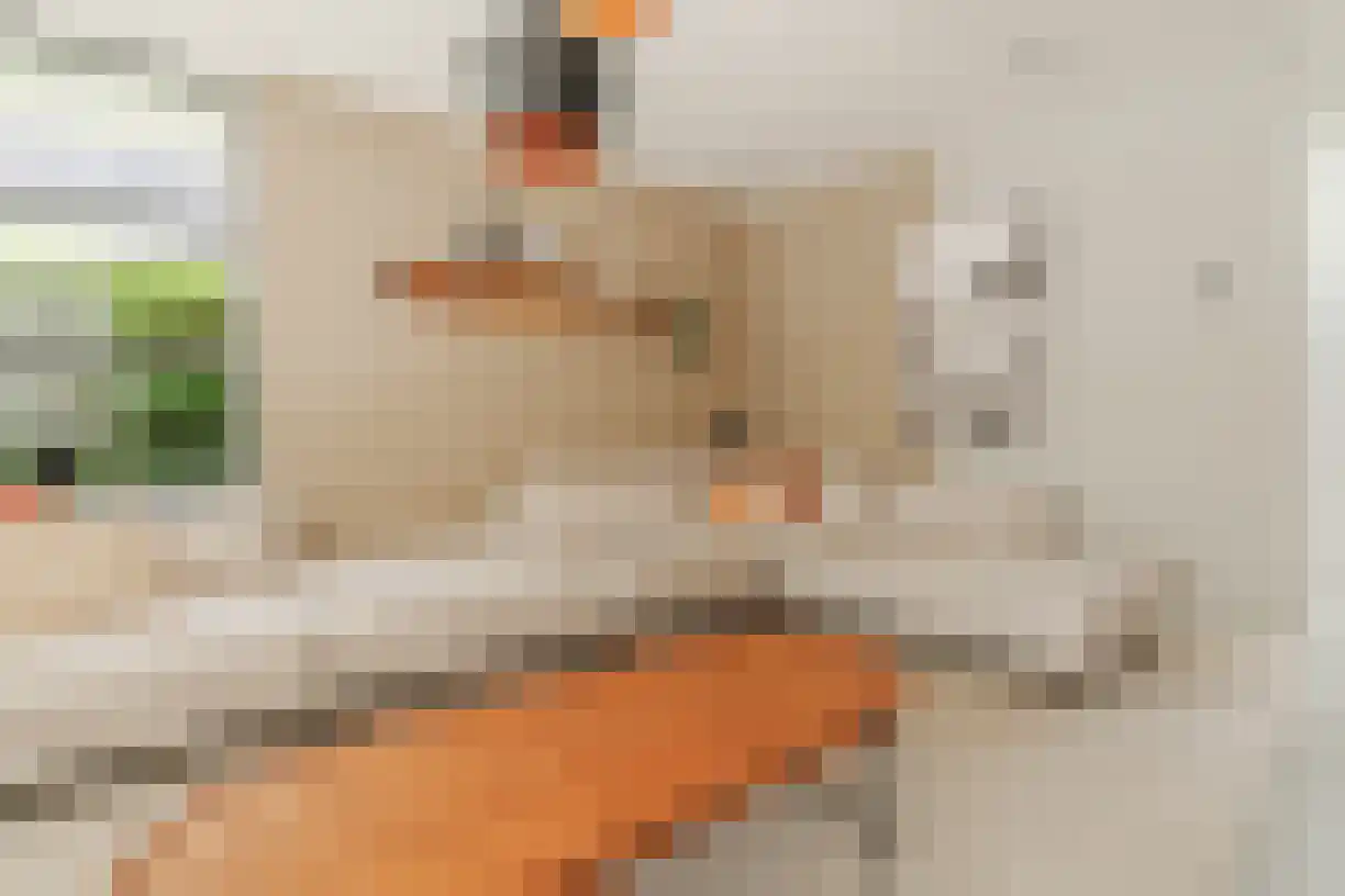 Oude Almeloseweg 12 Wierden thumbnail 27