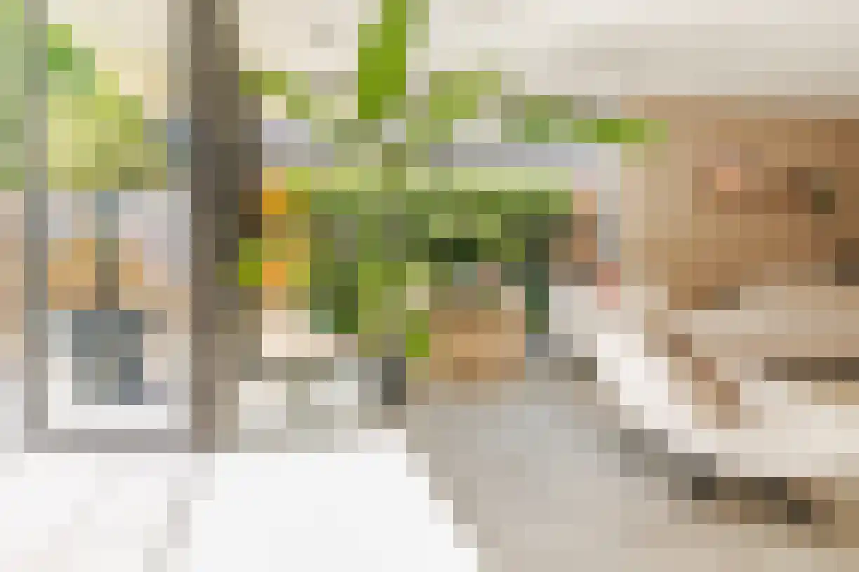 Oude Almeloseweg 12 Wierden thumbnail 30