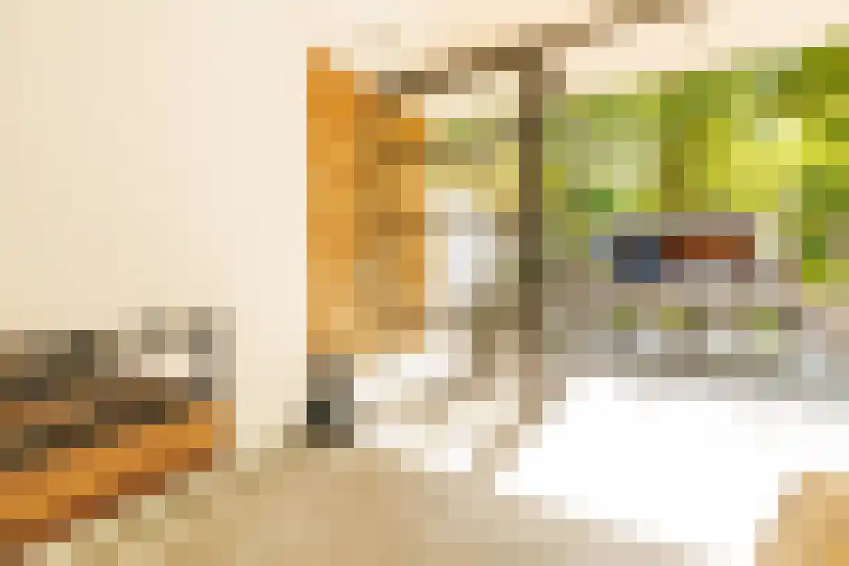 Oude Almeloseweg 12 Wierden thumbnail 32