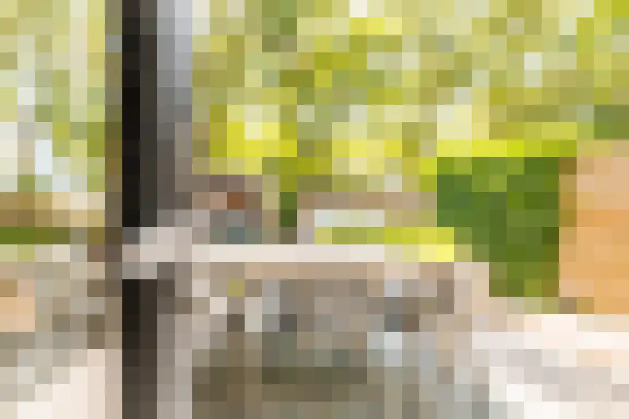 Oude Almeloseweg 12 Wierden thumbnail 34