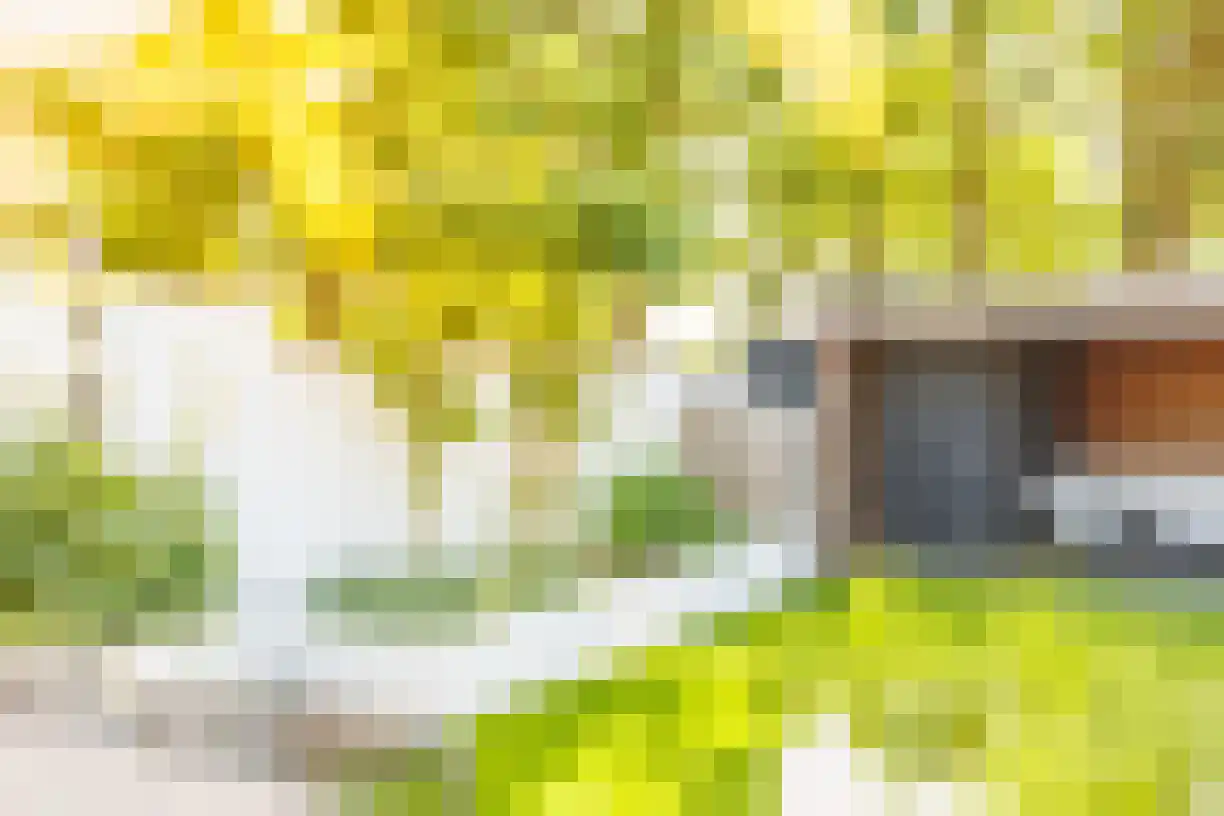 Oude Almeloseweg 12 Wierden thumbnail 37