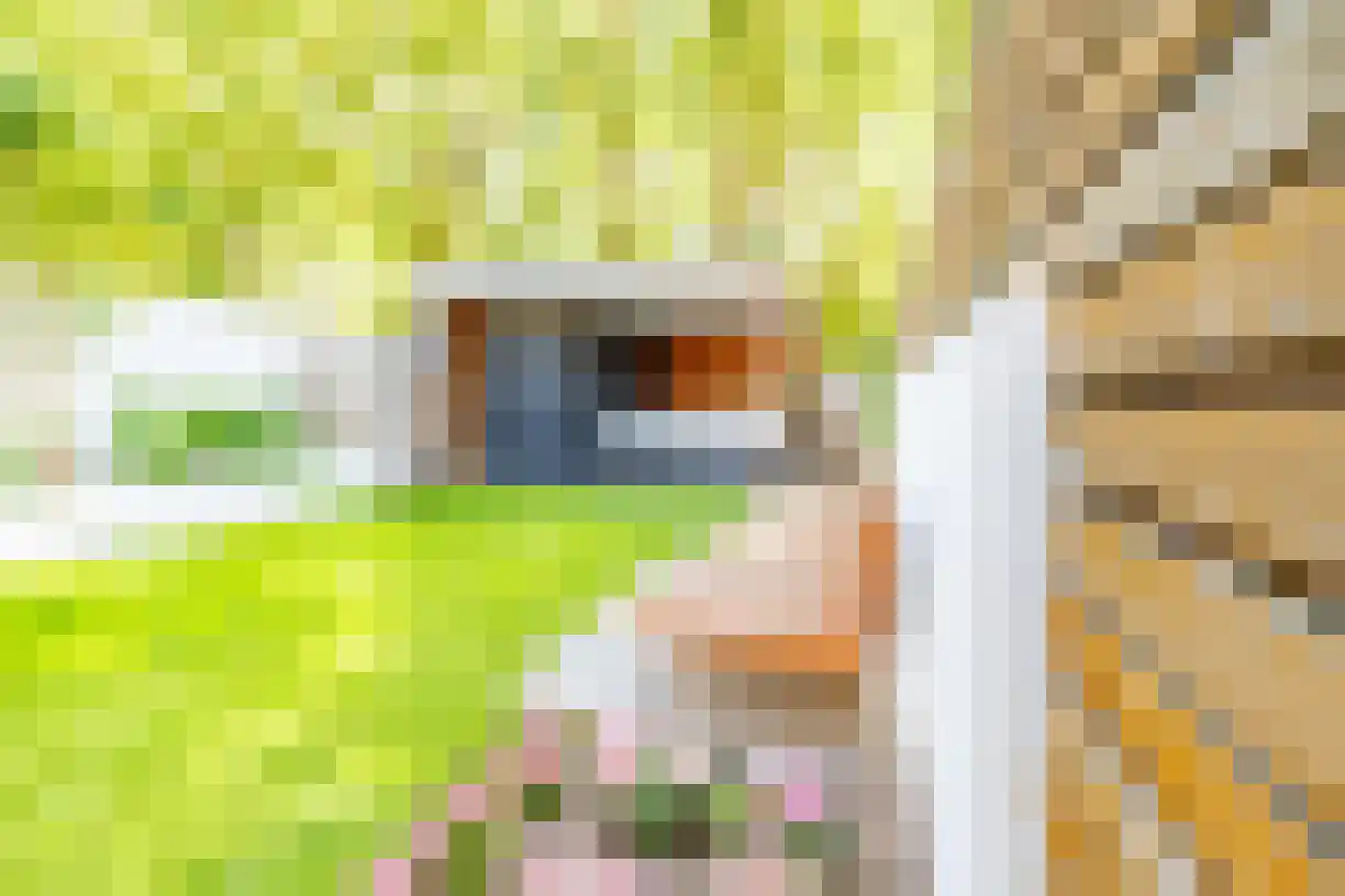 Oude Almeloseweg 12 Wierden thumbnail 38