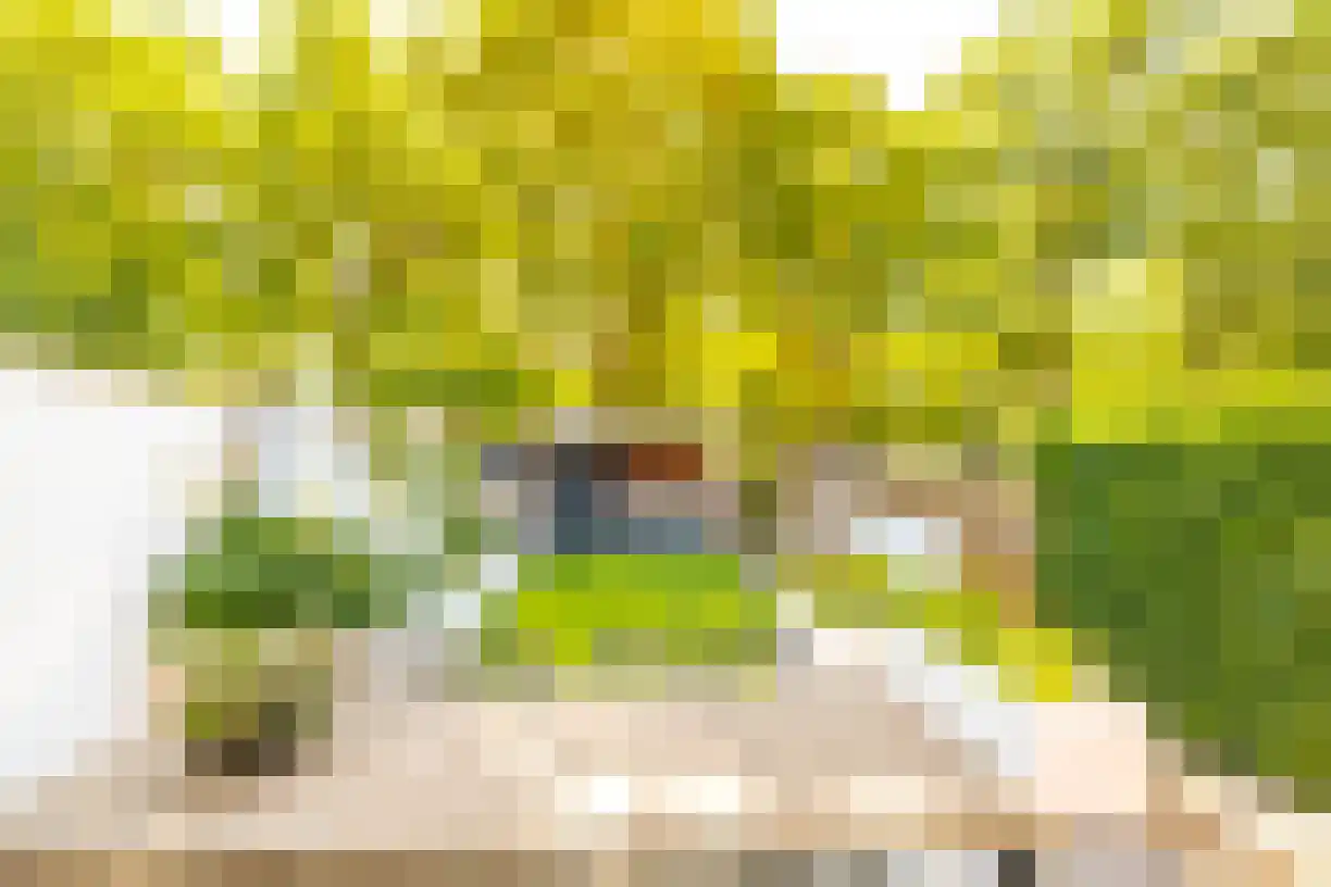Oude Almeloseweg 12 Wierden thumbnail 4