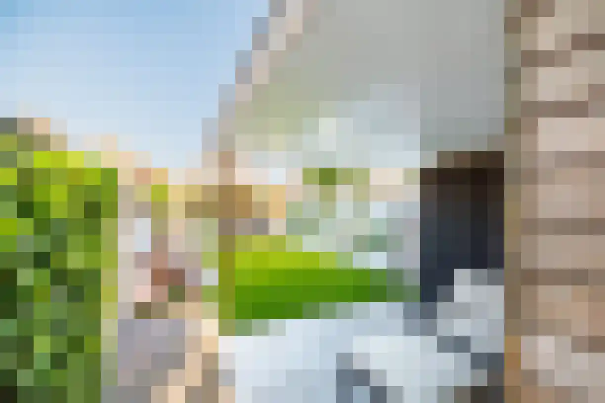 Oude Almeloseweg 12 Wierden thumbnail 43