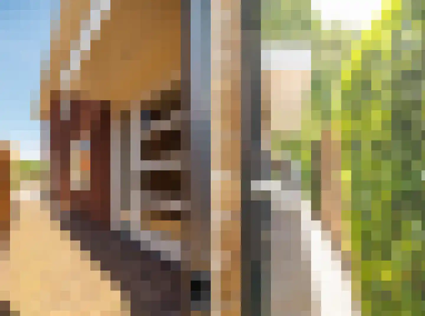 Oude Almeloseweg 12 Wierden thumbnail 45