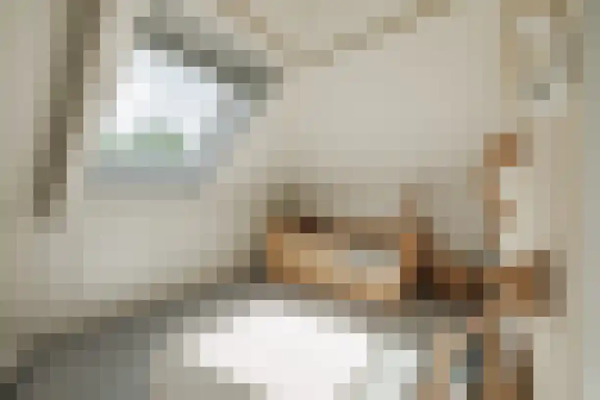 Oude Almeloseweg 12 Wierden thumbnail 55