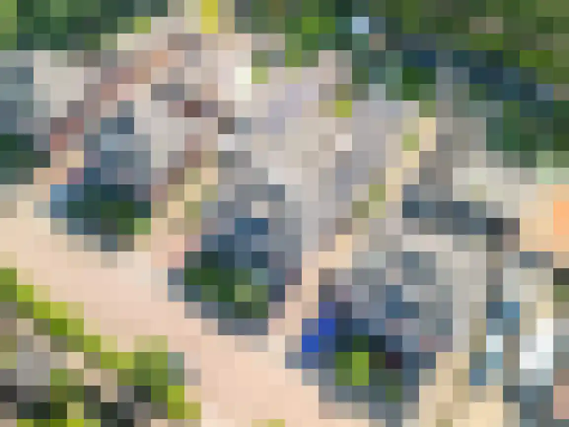 Oude Almeloseweg 12 Wierden thumbnail 58