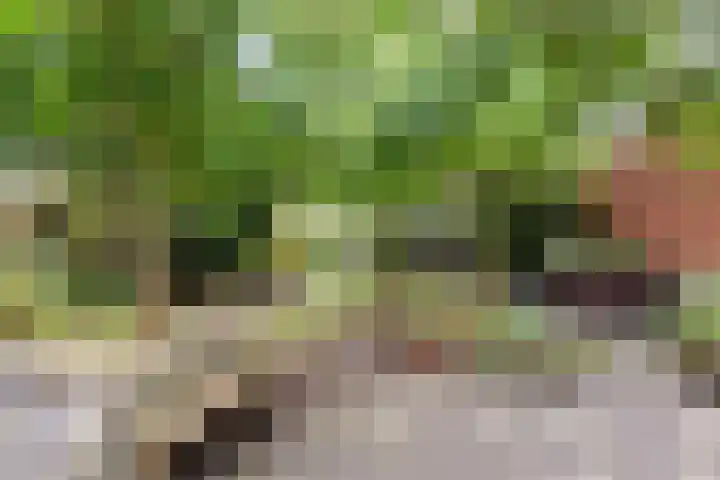 Oude Almeloseweg 13 Borne thumbnail 20