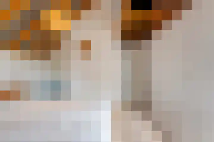 Oude Almeloseweg 13 Wierden thumbnail 21