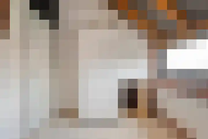 Oude Almeloseweg 13 Wierden thumbnail 24