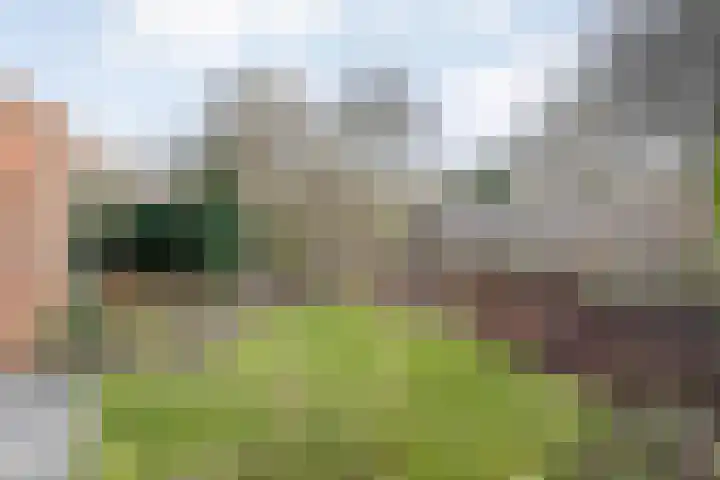 Oude Almeloseweg 13 Wierden thumbnail 32