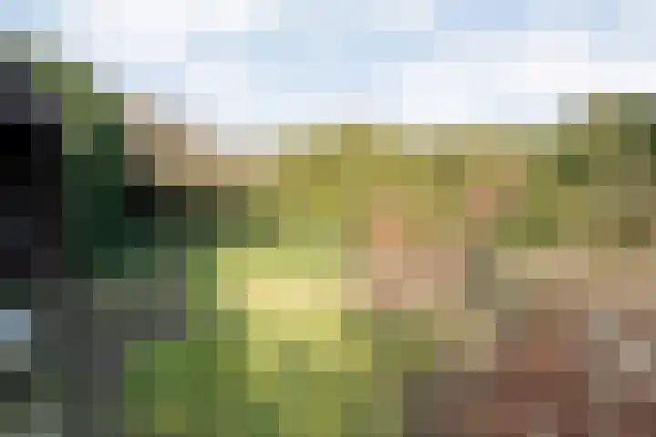 Oude Almeloseweg 13 Wierden thumbnail 34