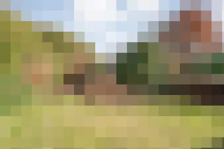 Oude Almeloseweg 13 Wierden thumbnail 35