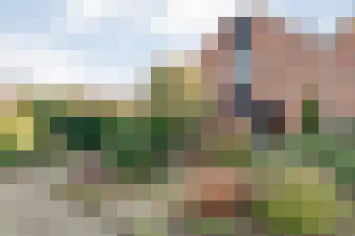 Oude Almeloseweg 13 Wierden thumbnail 37