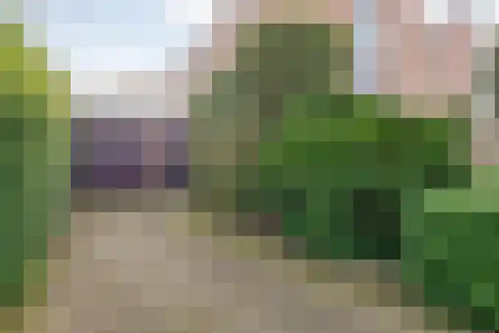 Oude Almeloseweg 13 Wierden thumbnail 39