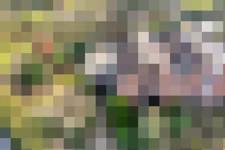 Oude Almeloseweg 13 Wierden thumbnail 40