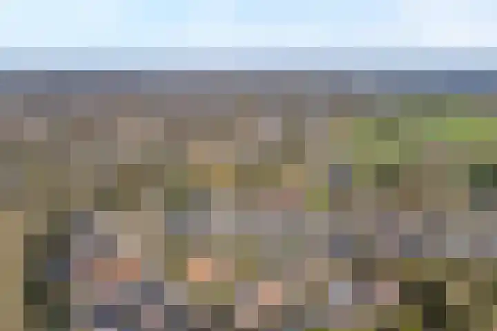 Oude Almeloseweg 13 Wierden thumbnail 43