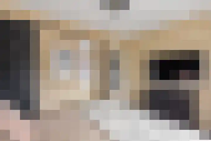 Oude Almeloseweg 135 Borne thumbnail 11