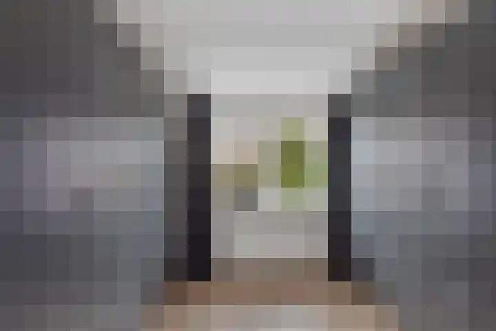 Oude Almeloseweg 135 Borne thumbnail 13