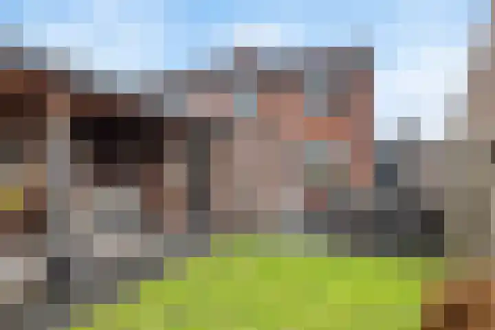 Oude Almeloseweg 135 Borne thumbnail 14