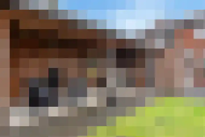 Oude Almeloseweg 135 Borne thumbnail 16
