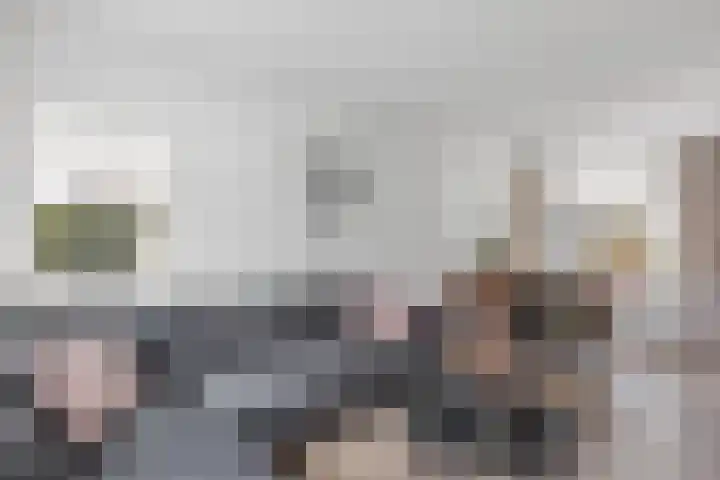 Oude Almeloseweg 135 Borne thumbnail 4