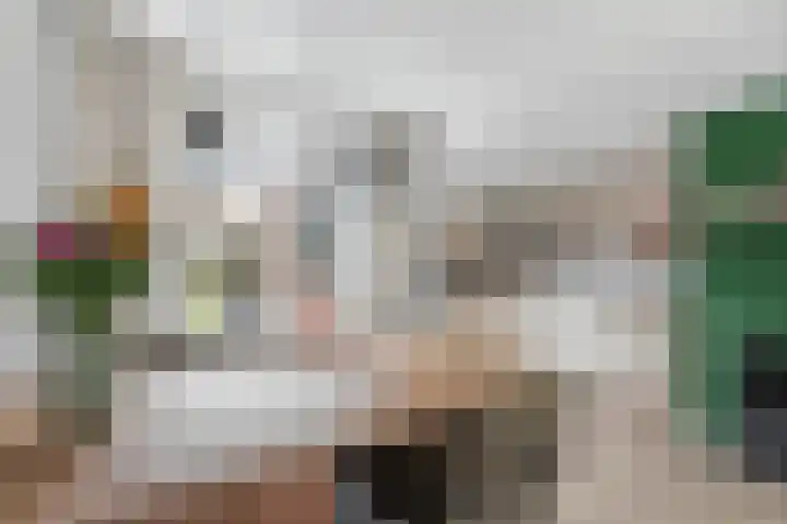 Oude Almeloseweg 135 Borne thumbnail 5