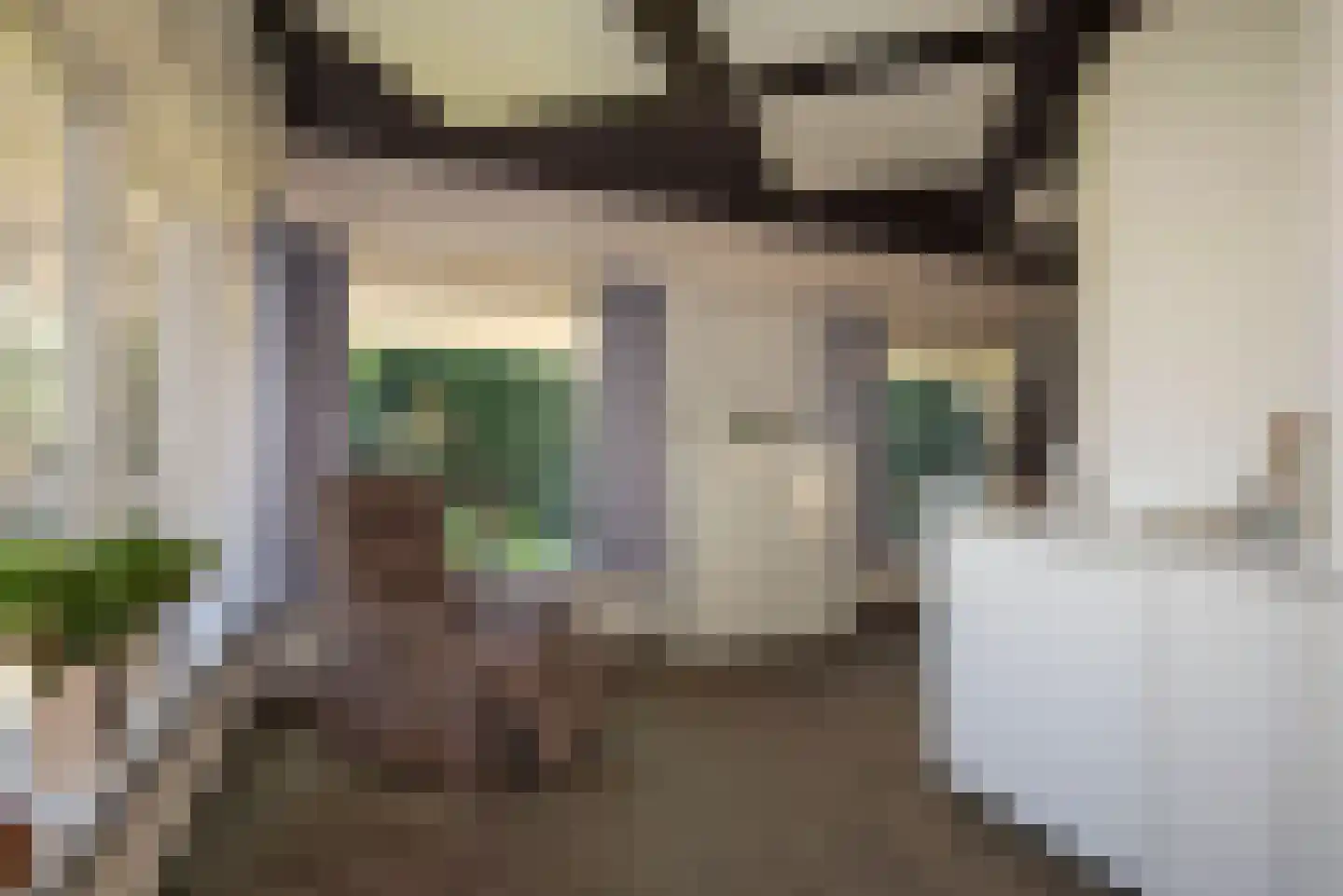 Oude Almeloseweg 157 Borne thumbnail 11