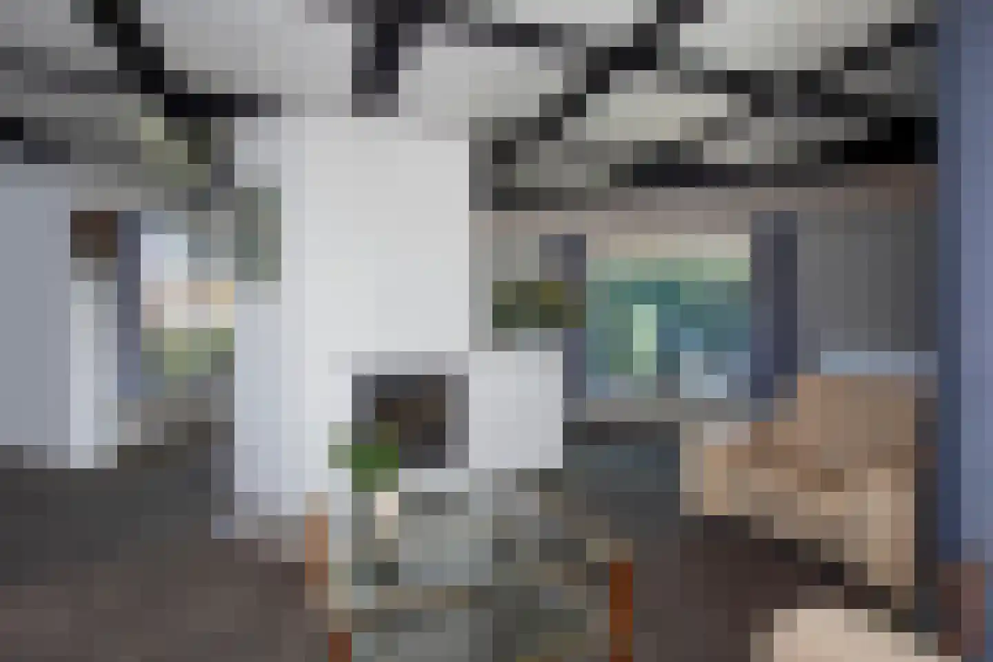 Oude Almeloseweg 157 Borne thumbnail 12