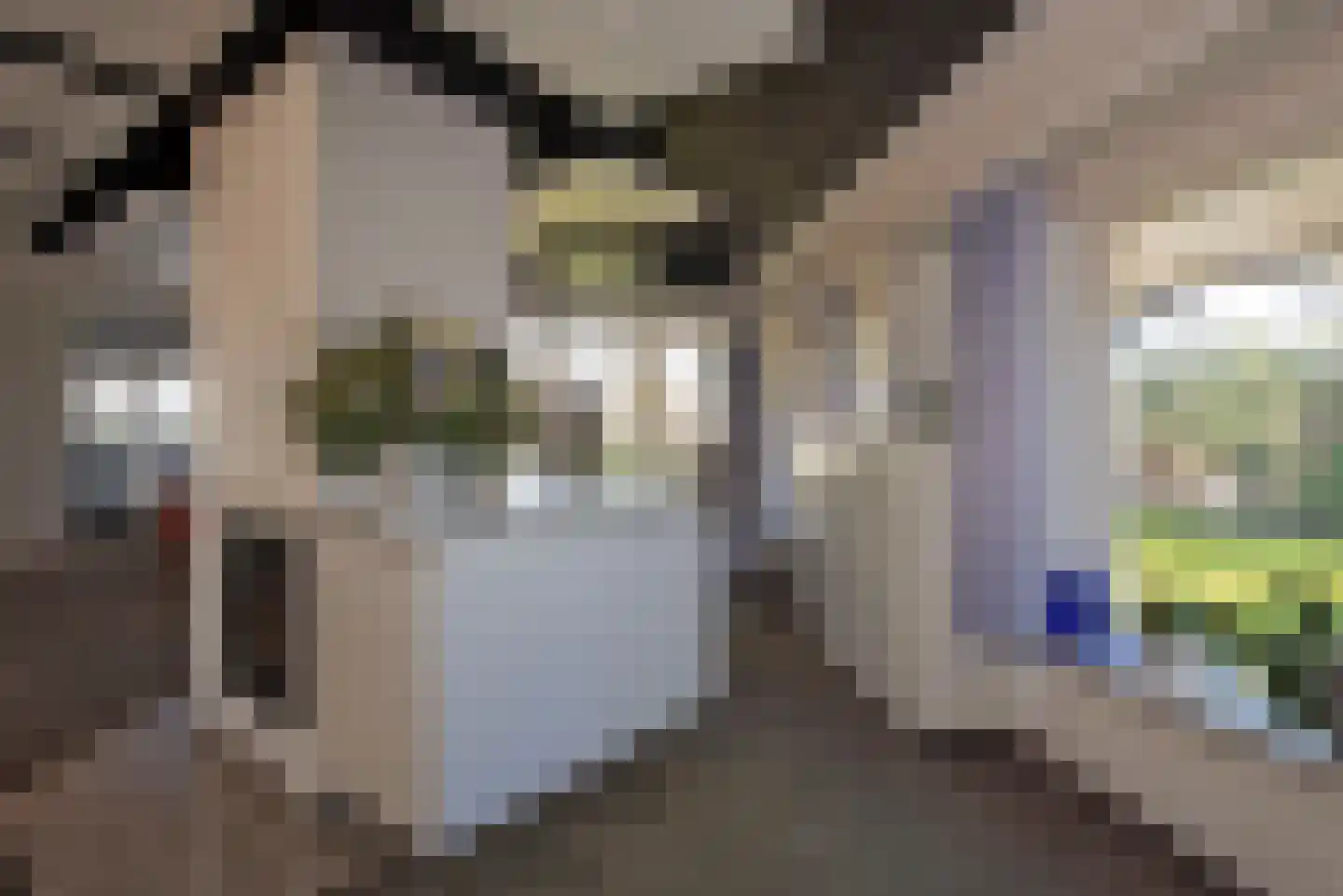 Oude Almeloseweg 157 Borne thumbnail 15