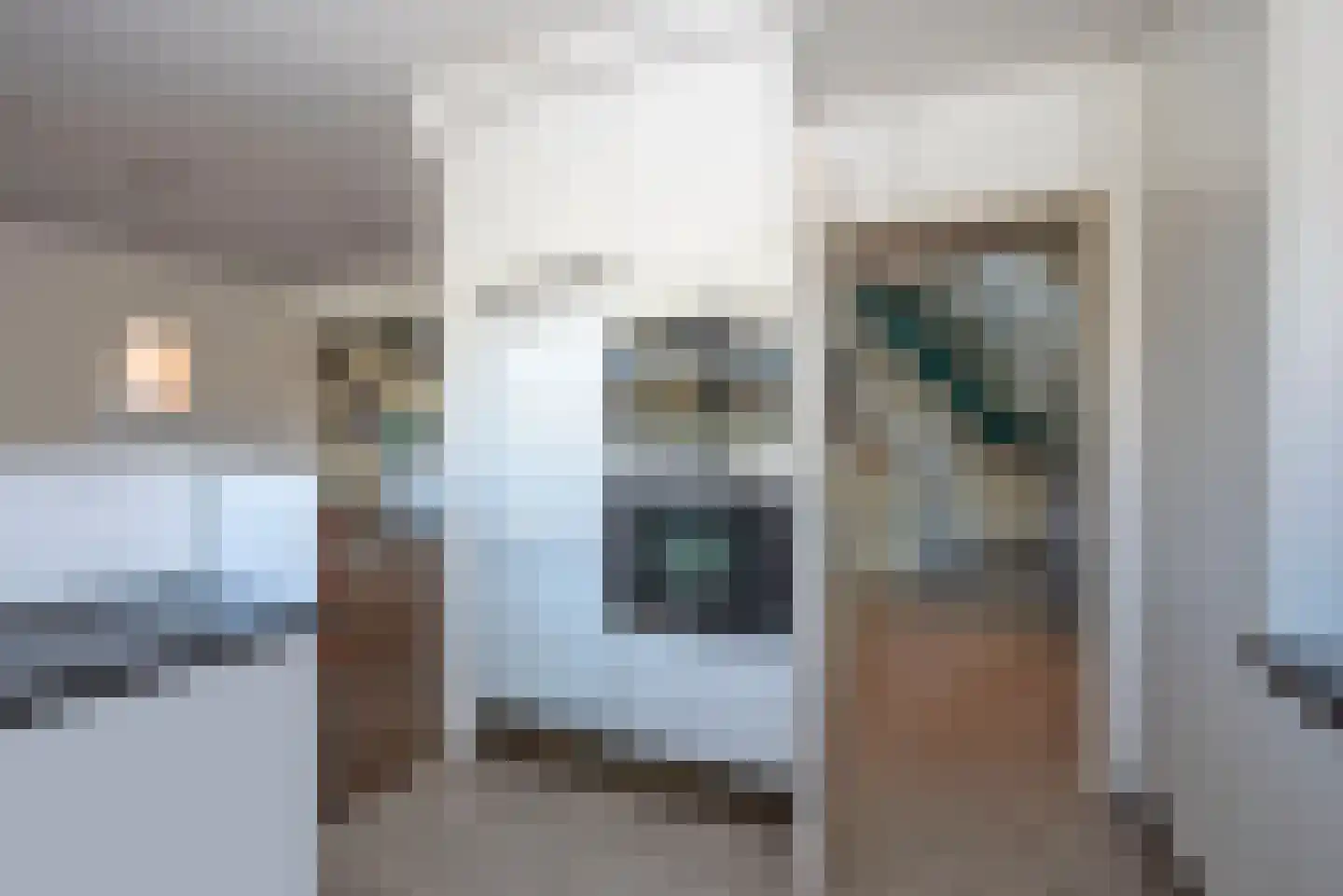 Oude Almeloseweg 157 Borne thumbnail 21
