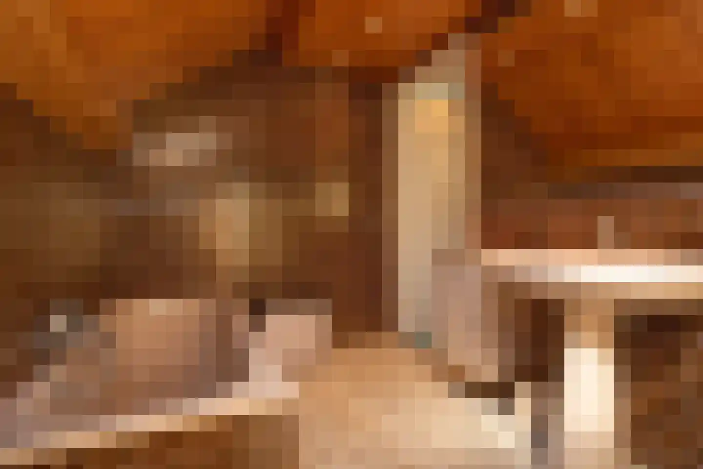 Oude Almeloseweg 157 Borne thumbnail 35