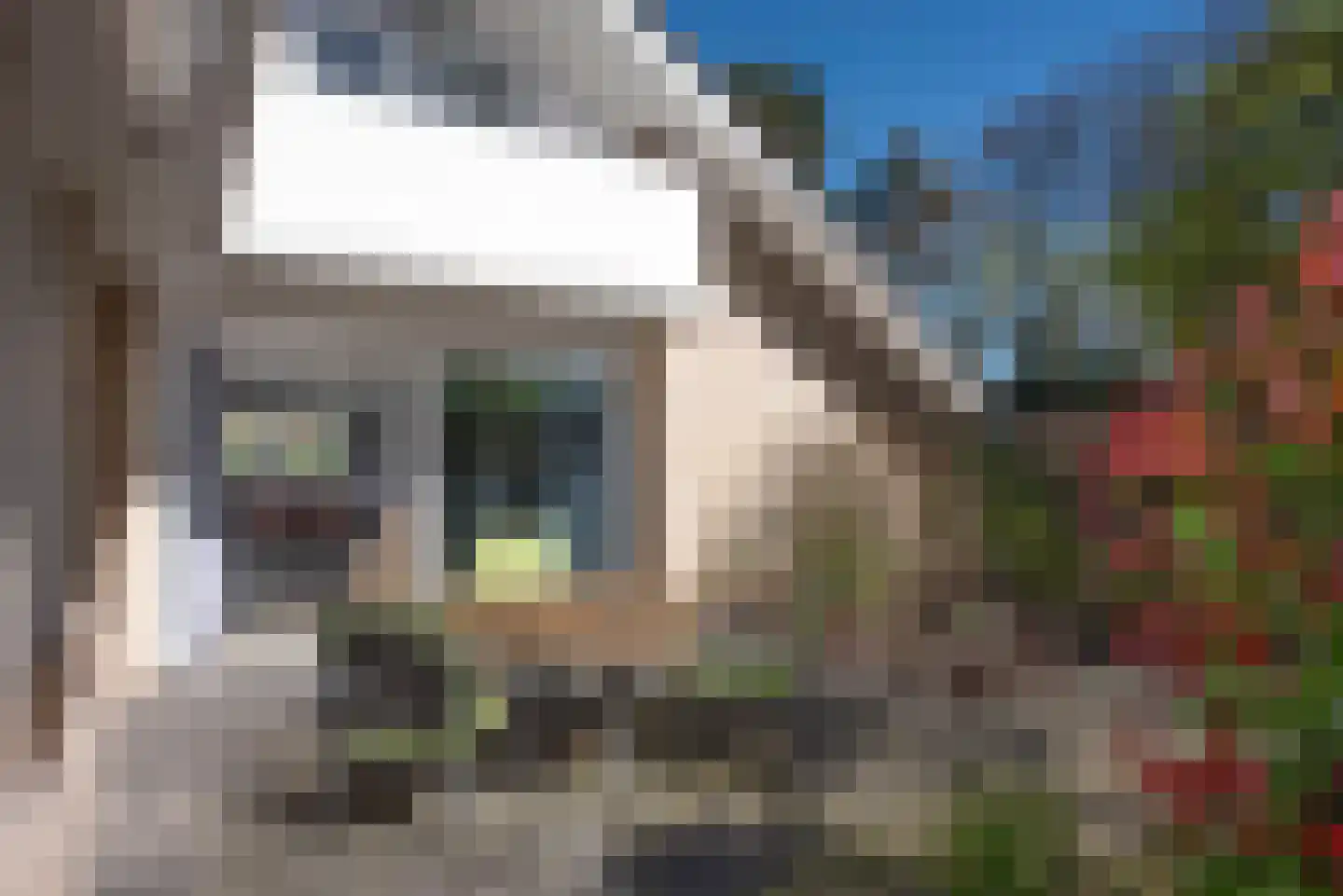 Oude Almeloseweg 157 Borne thumbnail 44