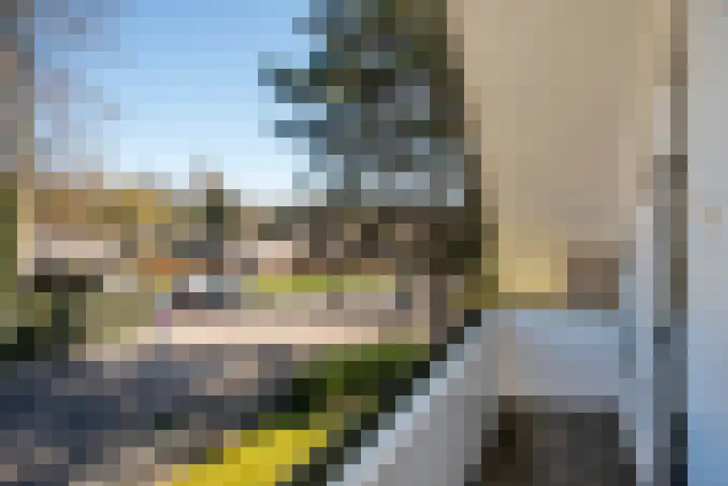 Oude Almeloseweg 157 Borne thumbnail 51