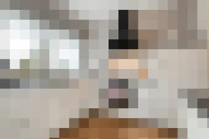 Oude Almeloseweg 21 Wierden thumbnail 14