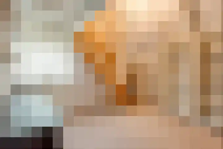 Oude Almeloseweg 21 Wierden thumbnail 28