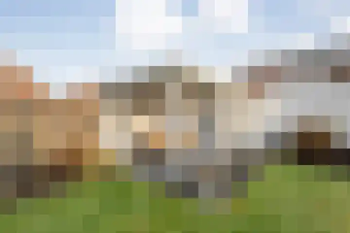 Oude Almeloseweg 21 Wierden thumbnail 32